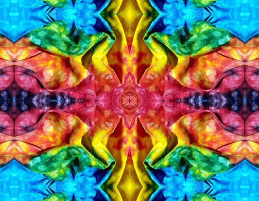 Whimsey 1 - A colorful and imaginative addition for your walls! Canvas 16" x 12" or 24" x 18"