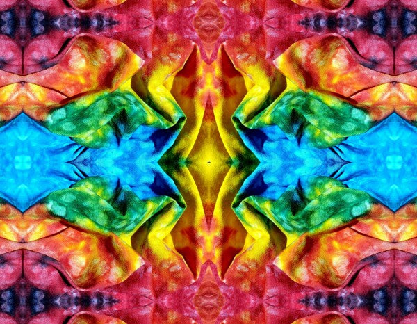 Whimsey 2 - A colorful and imaginative addition for your walls! Canvas 16" x 12" or 24" x 18"