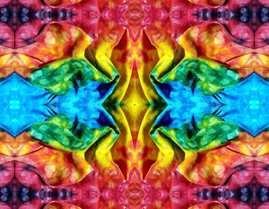 Whimsey 2 - A colorful and imaginative addition for your walls! Canvas 16" x 12" or 24" x 18"