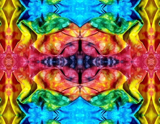 Whimsey 3 - A colorful and imaginative addition for your walls! Canvas 16" x 12" or 24" x 18"