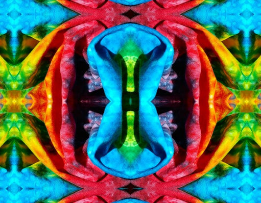 Get it On 2 - A colorful and imaginative addition for your walls! Canvas 16" x 12" or 24" x 18"