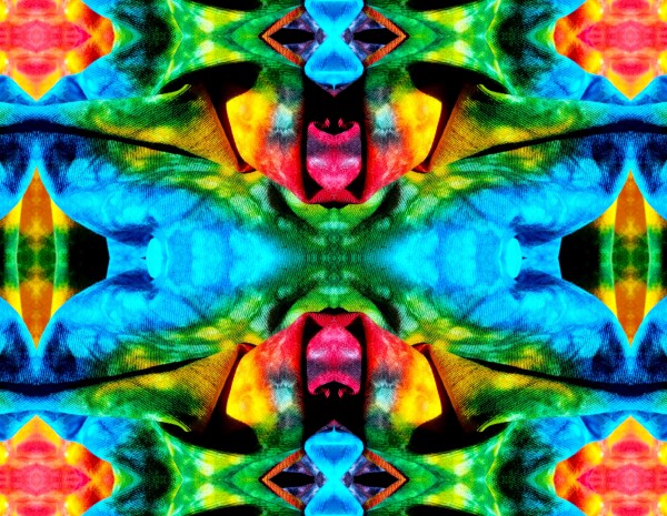 Carefree 1 - A splash of fun and color for your walls! Canvas prints available in 16" x 12" or 24"x 18"