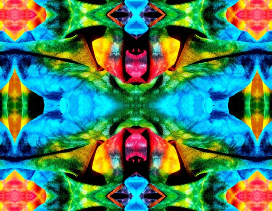Carefree 1 - A splash of fun and color for your walls! Canvas prints available in 16" x 12" or 24"x 18"