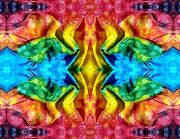 Whimsey 2 - A colorful and imaginative addition for your walls! Canvas 16" x 12" or 24" x 18"