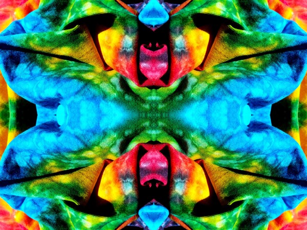 Carefree 1 - a stunning 16" x 12" Acrylic Print of Mirrored Colorful Tie-Dyed cloth.
