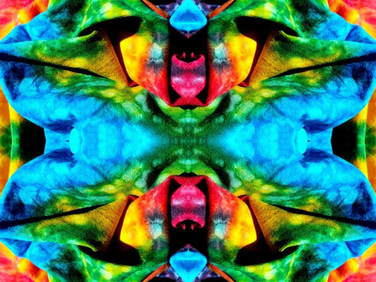 Carefree 1 - a stunning 16" x 12" Acrylic Print of Mirrored Colorful Tie-Dyed cloth.