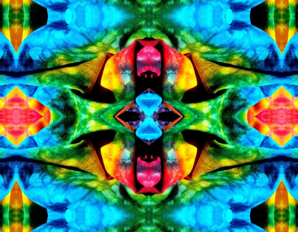 Carefree 2 - A splash of fun and color for your walls! Canvas prints available in 16" x 12" or 24"x 18"