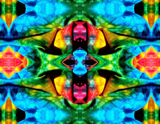 Carefree 2 - A splash of fun and color for your walls! Canvas prints available in 16" x 12" or 24"x 18"