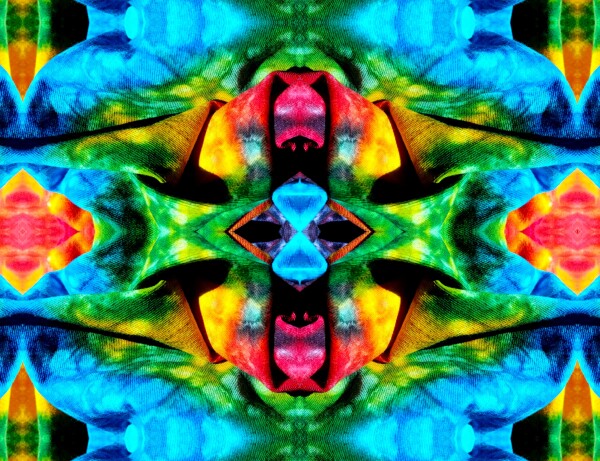 Carefree 2 - A splash of fun and color for your walls! Canvas prints available in 16" x 12" or 24"x 18"