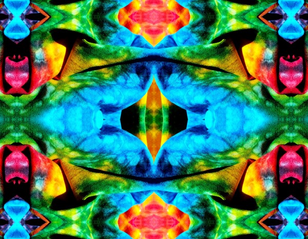 Carefree 3 - A splash of fun and color for your walls! Canvas prints available in 16" x 12" or 24"x 18"