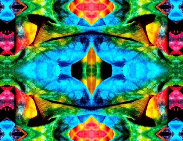 Carefree 3 - A splash of fun and color for your walls! Canvas prints available in 16" x 12" or 24"x 18"