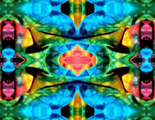 Carefree 4 - A splash of fun and color for your walls! Canvas prints available in 16" x 12" or 24"x 18"