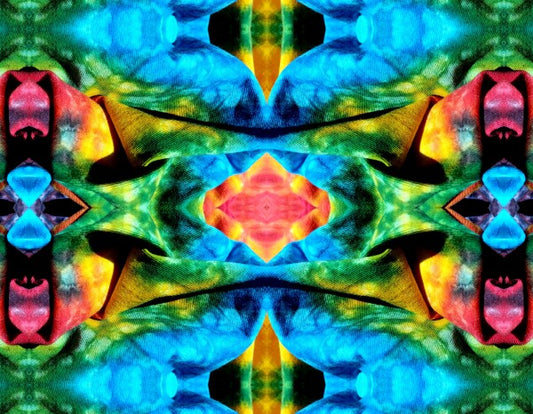 Carefree 4 - A splash of fun and color for your walls! Canvas prints available in 16" x 12" or 24"x 18"