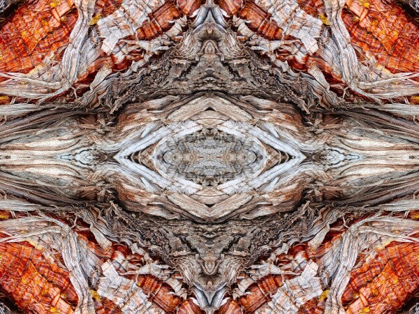 Annunciation 1 - Intricate detail and grace-filled lines will lift your spirits in this 16" x 12" Acrylic Print of Mirrored Natural Wood