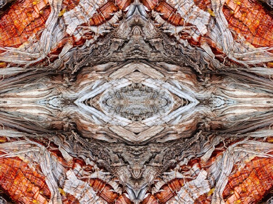 Annunciation 1 - Intricate detail and grace-filled lines will lift your spirits in this 16" x 12" Acrylic Print of Mirrored Natural Wood
