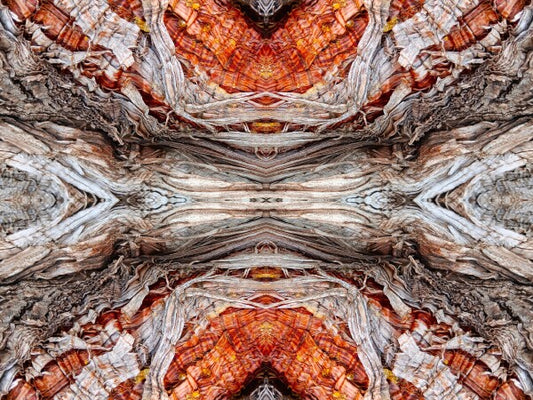 Annunciation 2 - Intricate detail and grace-filled lines will lift your spirits in this 16" x 12" Acrylic Print of Mirrored Natural Wood