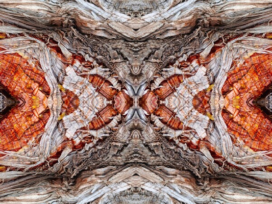Annunciation 3 - Intricate detail and grace-filled lines will lift your spirits in this 16" x 12" Acrylic Print of Mirrored Natural Wood