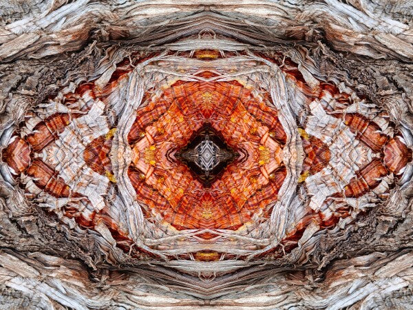 Annunciation 4 - Intricate detail and grace-filled lines will lift your spirits in this 16" x 12" Acrylic Print of Mirrored Natural Wood