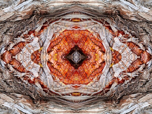 Annunciation 4 - Intricate detail and grace-filled lines will lift your spirits in this 16" x 12" Acrylic Print of Mirrored Natural Wood