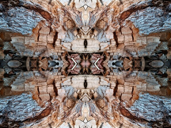 Mosaic 1 - a stunning 16" x 12" Acrylic Print of Mirrored Natural Wood