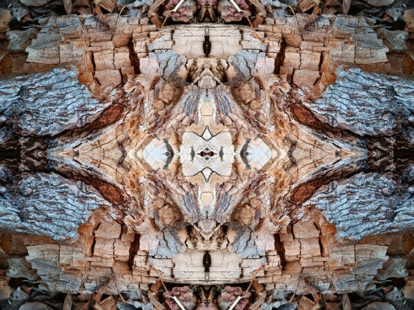 Mosaic 2 - a stunning 16" x 12" Acrylic Print of Mirrored Natural Wood