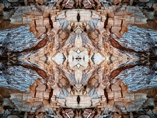 Mosaic 2 - a stunning 16" x 12" Acrylic Print of Mirrored Natural Wood
