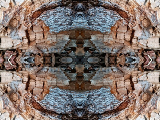 Mosaic 3 - a stunning 16" x 12" Acrylic Print of Mirrored Natural Wood