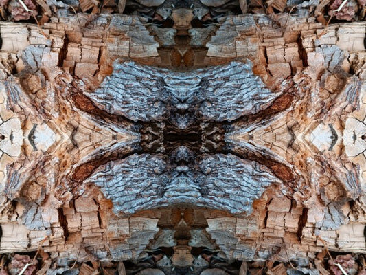 Mosaic 4 - a stunning 16" x 12" Acrylic Print of Mirrored Natural Wood