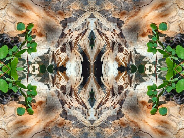 If it says... 1 - a stunning 16" x 12" Acrylic Print of Mirrored Natural Wood