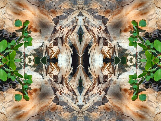 If it says... 1 - a stunning 16" x 12" Acrylic Print of Mirrored Natural Wood