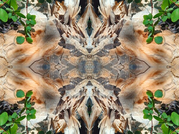 If it says... 2 - a stunning 16" x 12" Acrylic Print of Mirrored Natural Wood