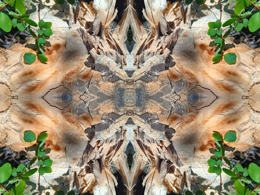 If it says... 2 - a stunning 16" x 12" Acrylic Print of Mirrored Natural Wood