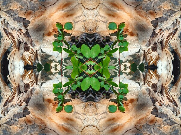 If it says... 3 - a stunning 16" x 12" Acrylic Print of Mirrored Natural Wood