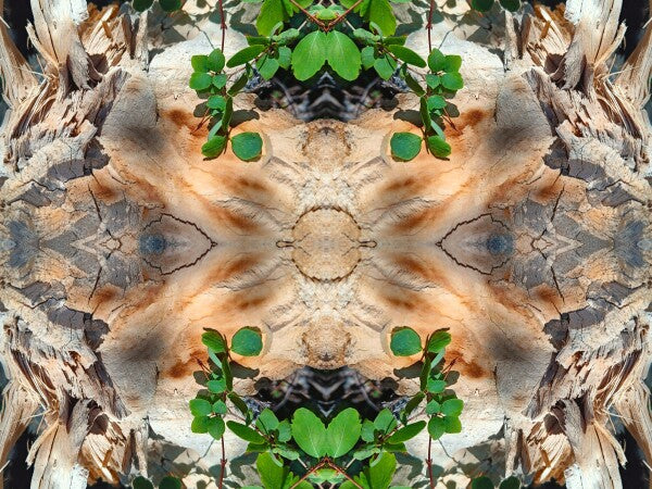 If it says... 4 - a stunning 16" x 12" Acrylic Print of Mirrored Natural Wood