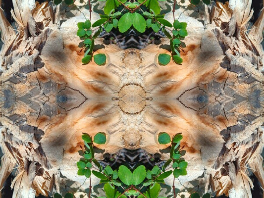 If it says... 4 - a stunning 16" x 12" Acrylic Print of Mirrored Natural Wood