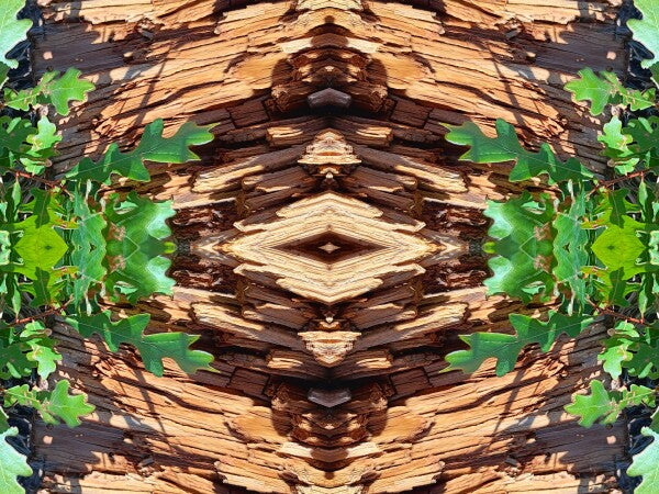 On the Way 3 - Dramatic juxtaposition of color and depth provide a stunning accent - 16" x 12" Acrylic Print of Mirrored Natural Wood