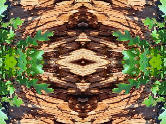 On the Way 3 - Dramatic juxtaposition of color and depth provide a stunning accent - 16" x 12" Acrylic Print of Mirrored Natural Wood