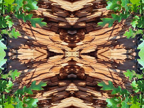 On the Way 4 - Dramatic juxtaposition of color and depth provide a stunning accent. 16" x 12" Acrylic Print of Mirrored Natural Wood