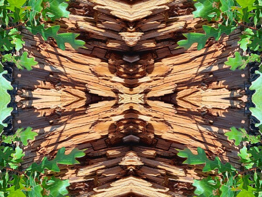 On the Way 4 - Dramatic juxtaposition of color and depth provide a stunning accent. 16" x 12" Acrylic Print of Mirrored Natural Wood