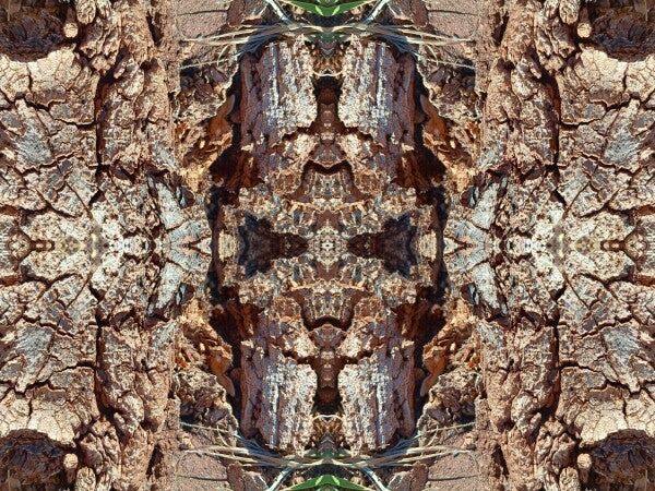 Freedom 1 - Crisp lines and dramatic texture - a 16" x 12" Acrylic Print of Mirrored Natural Wood