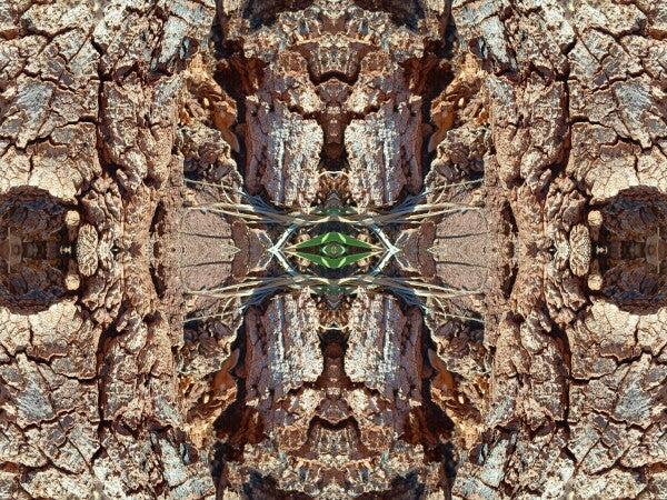 Freedom 2 - Crisp lines and dramatic texture - 16" x 12" Acrylic Print of Mirrored Natural Wood