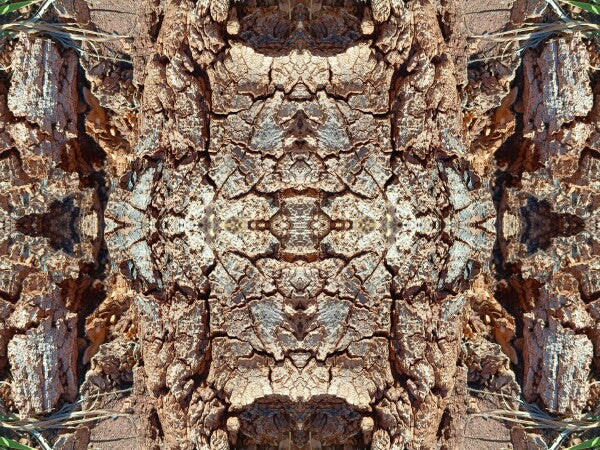 Freedom 3 - Crisp lines with dramatic texture - 16" x 12" Acrylic Print of Mirrored Natural Wood