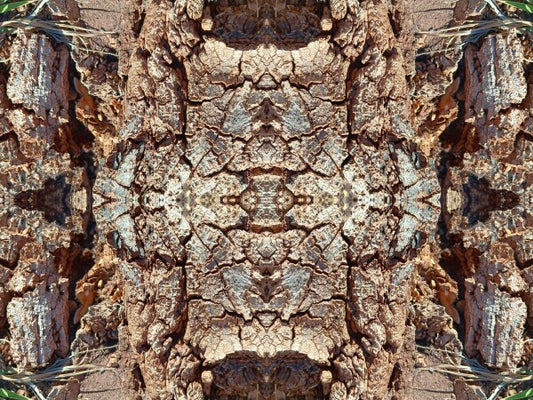 Freedom 3 - Crisp lines with dramatic texture - 16" x 12" Acrylic Print of Mirrored Natural Wood