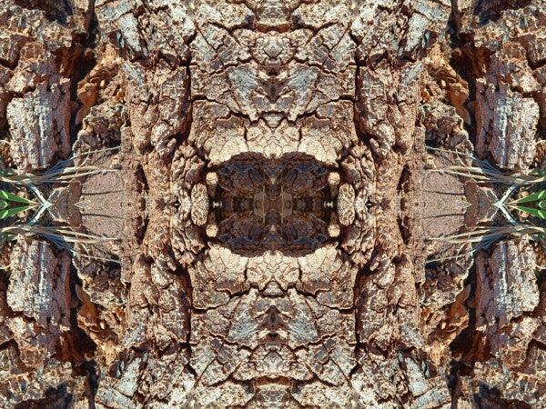 Freedom 4 - Crisp lines with dramatic texture - 16" x 12" Acrylic Print of Mirrored Natural Wood
