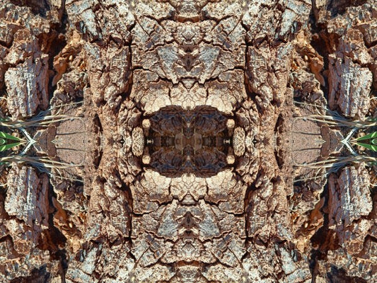 Freedom 4 - Crisp lines with dramatic texture - 16" x 12" Acrylic Print of Mirrored Natural Wood