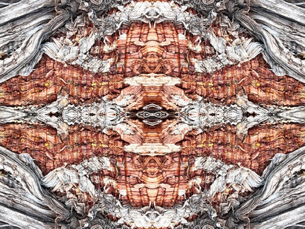 Our Lady 1 - Bring striking contrasts and holy flair to your walls with an inspiring 16" x 12" Acrylic Print of Mirrored Natural Wood