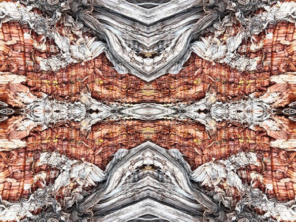 Our Lady 2 - Bring striking contrasts and holy flair to your walls with an inspiring 16" x 12" Acrylic Print of Mirrored Natural Wood