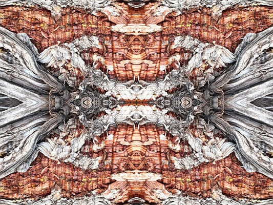 Our Lady 3 - Bring striking contrasts and holy flair to your walls with an inspiring 16" x 12" Acrylic Print of Mirrored Natural Wood