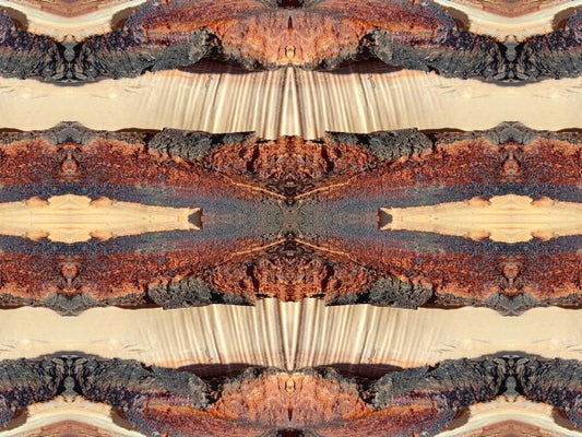 Red River #2  - The old west comes alive in an Acrylic Print that just makes you want to go out an' wrangle somethin'.