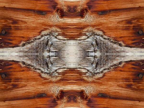 Tarry On # 1 - Celebrate your wandering spirit in an Acrylic Print of planked wood that has been there and done that!